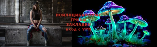 наркотики Новозыбков