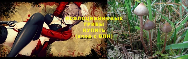 не бодяженный Абинск